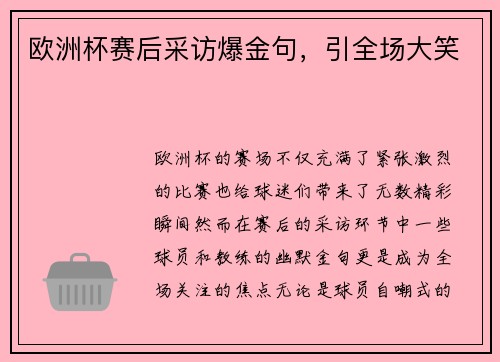 欧洲杯赛后采访爆金句，引全场大笑